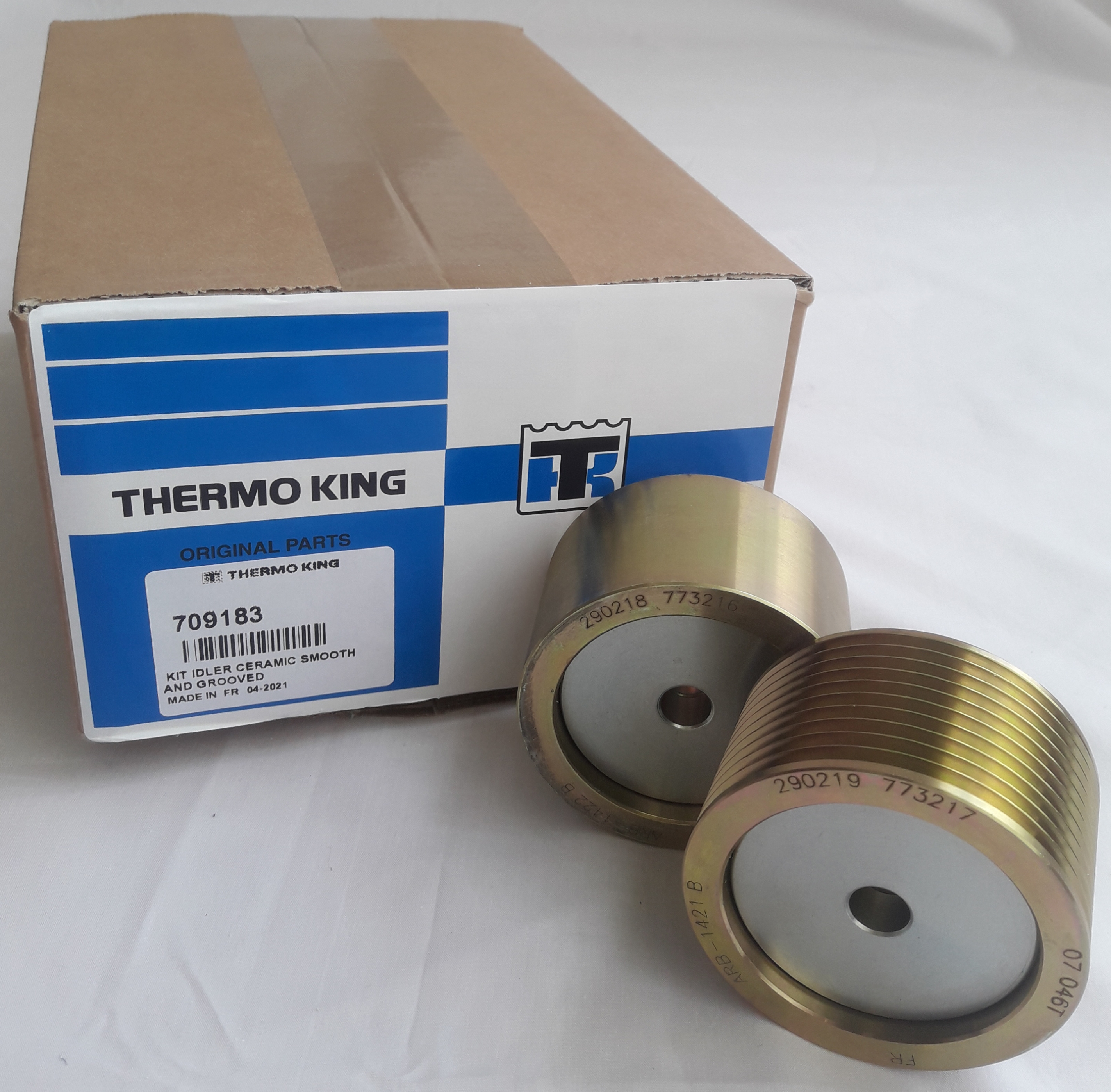 ギンポ 15mis_c-spn-0144_mpk2_1.jpg?v=