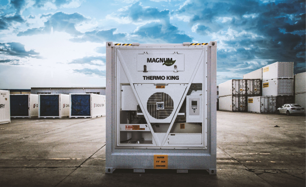 Photo of a line of Magnum units on shipping containers.									