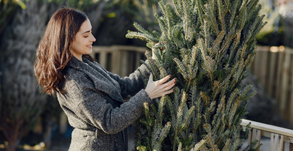 arboles-navidad-naturales.jpg