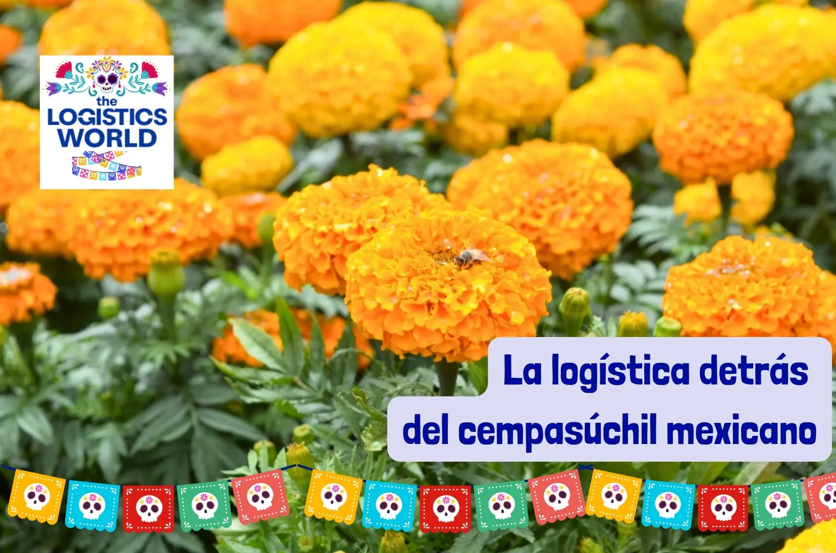 flor-de-los-muertos.webp
