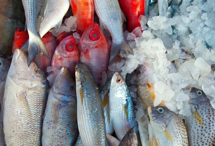 pescado-3.jpg
