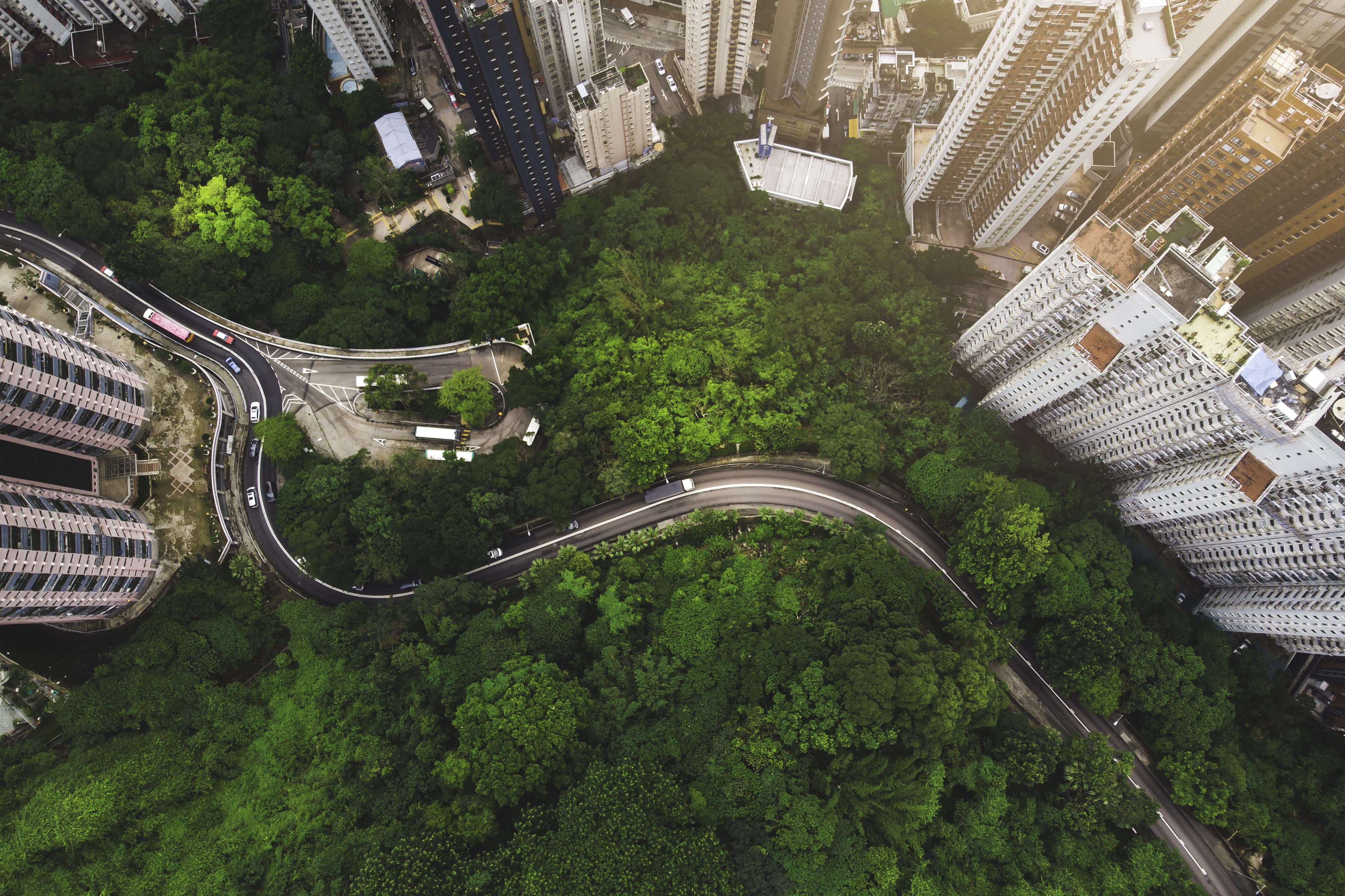 A photo of a modern city next to a lush forest				